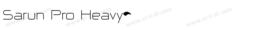 Sarun Pro Heavy字体转换